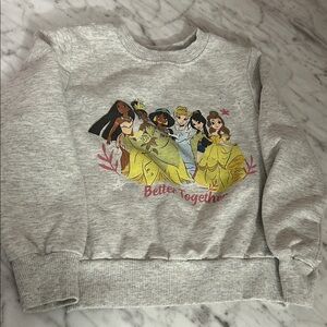Disney Gray Princess Crew Neck Sweatshirt and pant set.
